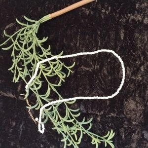 Elegant White Beaded Necklace